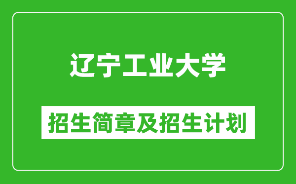 遼寧工業(yè)大學(xué)2025年招生簡章,各省高考招生計劃人數(shù)一覽表