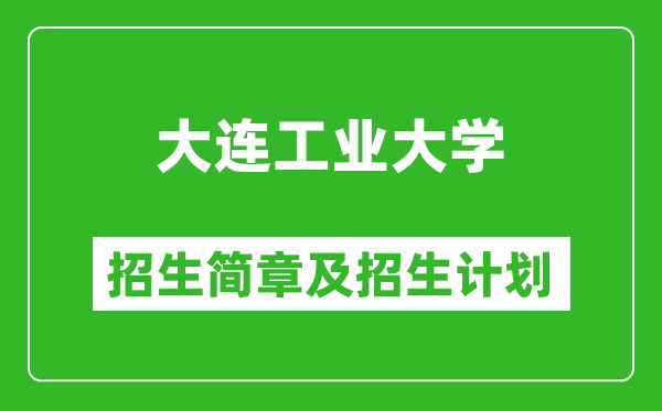 大連工業(yè)大學2025年招生簡章,各省高考招生計劃人數(shù)一覽表