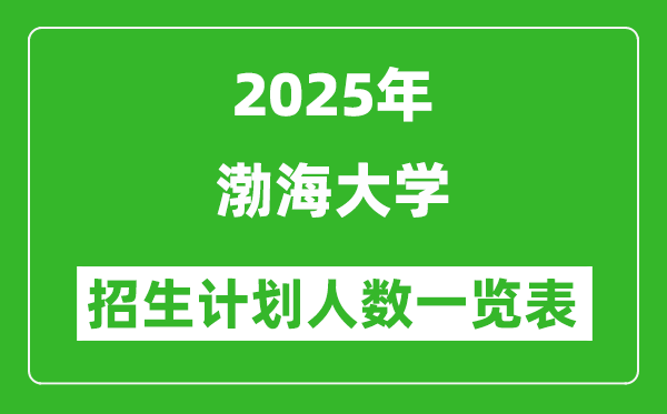 2025年渤海大學(xué)在各省招生計劃人數(shù)一覽表