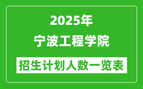 2025年寧波工程學(xué)院在各省招生計(jì)劃人數(shù)一覽表