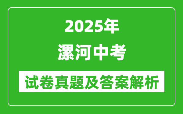 2025年漯河中考數(shù)學(xué)試卷真題及答案解析(完整版)